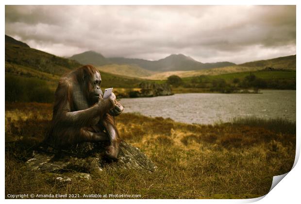 Orangutan With Smart Phone Print by Amanda Elwell