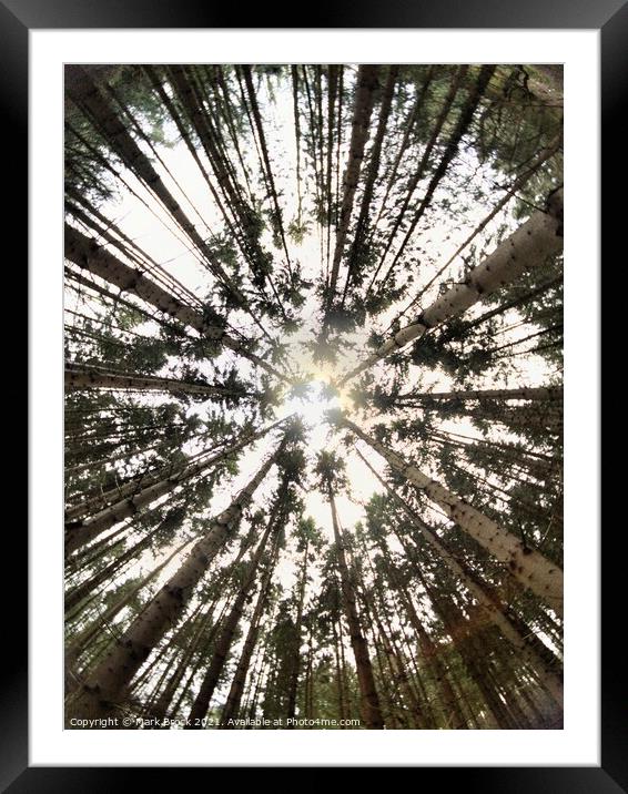Look Up Framed Mounted Print by Mark Brock