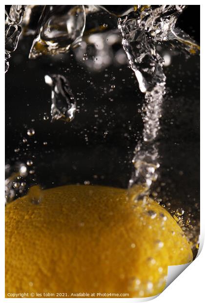 Lemon Plunge Print by les tobin