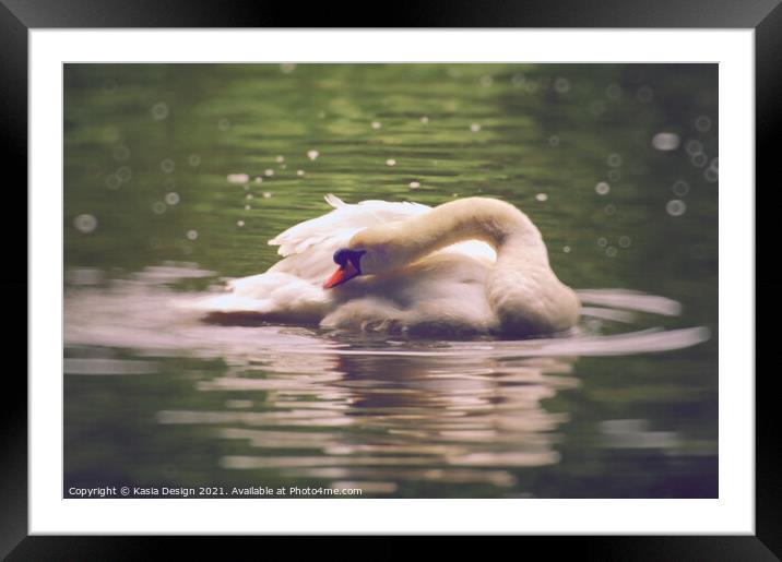 Swan Reflections Framed Mounted Print by Kasia Design