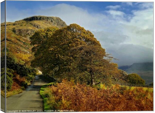Winding road through Wasdale Canvas Print by ROS RIDLEY