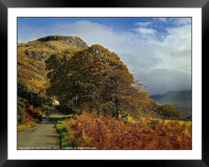 Winding road through Wasdale Framed Mounted Print by ROS RIDLEY