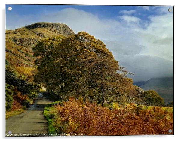 Winding road through Wasdale Acrylic by ROS RIDLEY