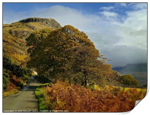 Winding road through Wasdale Print by ROS RIDLEY
