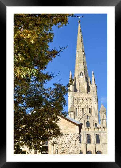 The spire of Norwich Cathedral Framed Mounted Print by Christopher Keeley