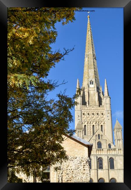 The spire of Norwich Cathedral Framed Print by Christopher Keeley