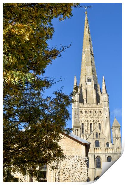 The spire of Norwich Cathedral Print by Christopher Keeley