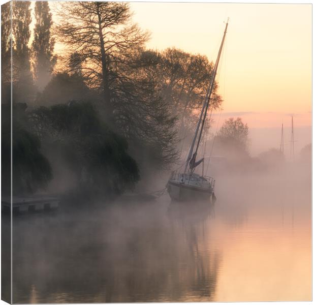 Frome Sunrise Canvas Print by David Semmens