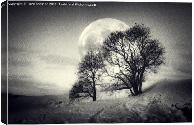 The Big Full Moon Black and White Canvas Print by Taina Sohlman
