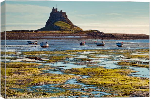 Morning colours of Lindisfarne Canvas Print by David McCulloch