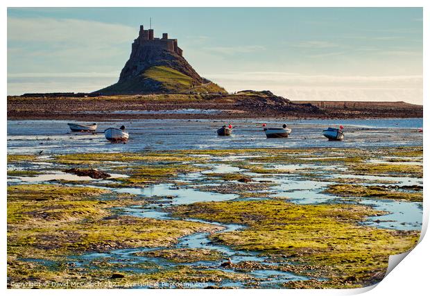 Morning colours of Lindisfarne Print by David McCulloch