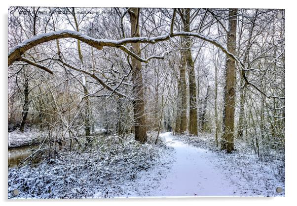 Winter Walk Acrylic by Avril Harris