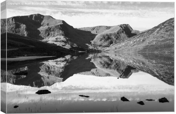 Monochrome Llyn Ogwen Mountain Reflections Wales Canvas Print by Pearl Bucknall