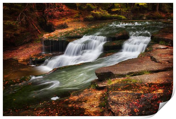 Autumn Stream With Water Cascade Print by Artur Bogacki