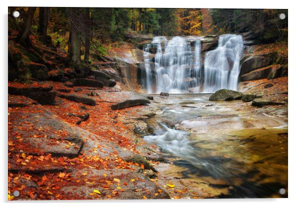 Mumlava Waterfall in Czechia Acrylic by Artur Bogacki