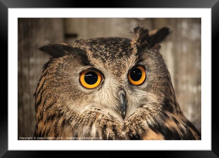 Eagle Owl Framed Mounted Print by Kevin Clayton