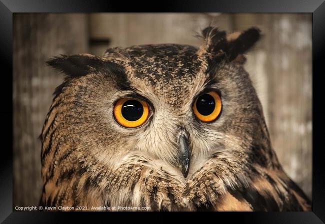 Eagle Owl Framed Print by Kevin Clayton