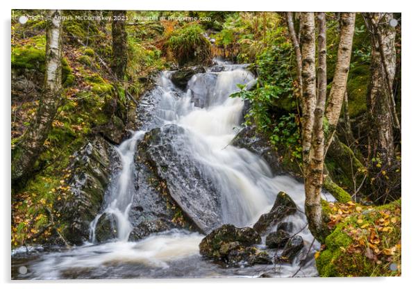 Woodland waterfall Trossachs, Scotland Acrylic by Angus McComiskey