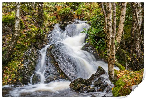 Woodland waterfall Trossachs, Scotland Print by Angus McComiskey