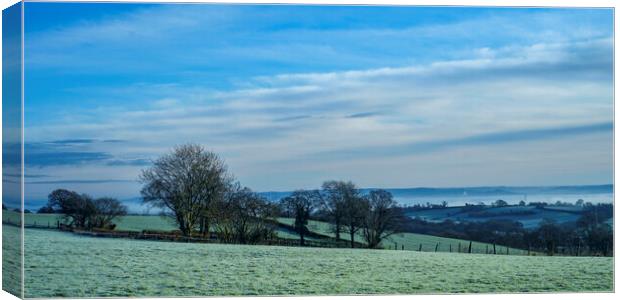 Rural Winter Panorama Canvas Print by David Tinsley
