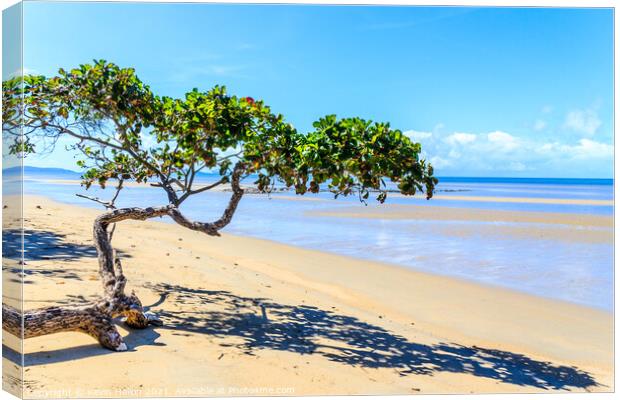 Beautiful day on the beach Canvas Print by Kevin Hellon