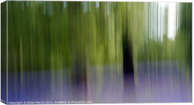 Bluebell Wood. Impression with intentional camera  Canvas Print by Brian Pierce