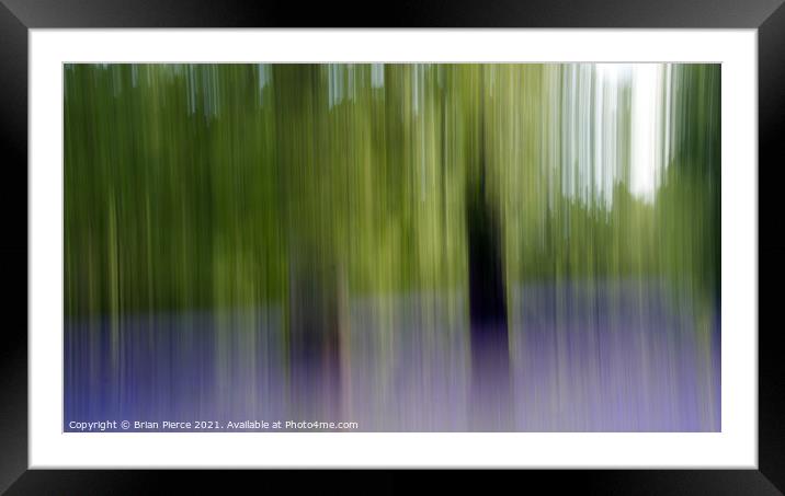 Bluebell Wood. Impression with intentional camera  Framed Mounted Print by Brian Pierce