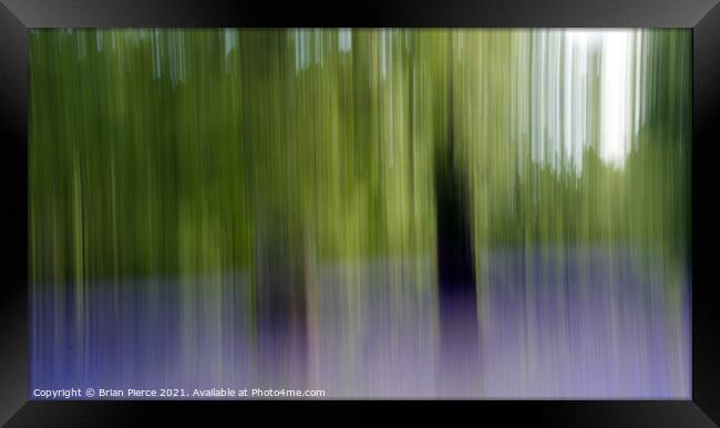 Bluebell Wood. Impression with intentional camera  Framed Print by Brian Pierce