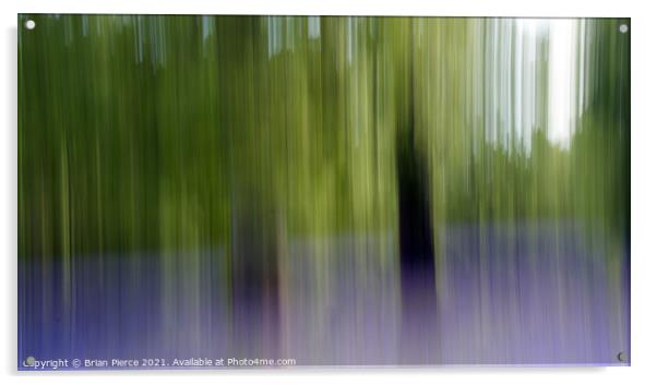 Bluebell Wood. Impression with intentional camera  Acrylic by Brian Pierce