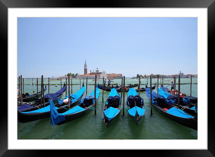 Venice Lagoon Framed Mounted Print by Scott Anderson