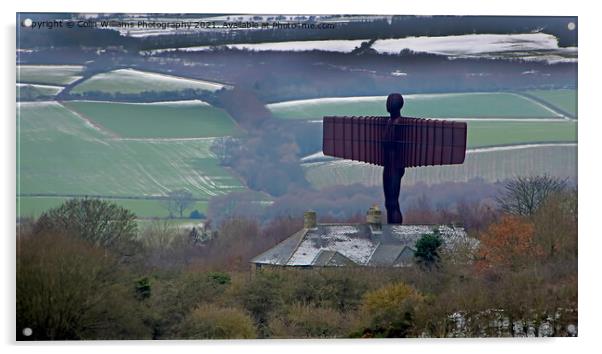 The Angel of the North  7 Acrylic by Colin Williams Photography