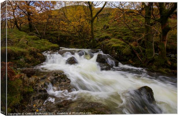 Hayeswater Gill Canvas Print by CHRIS BARNARD