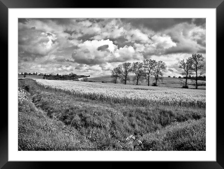 View across fields at Hanningfield, Essex, UK. Framed Mounted Print by Peter Bolton