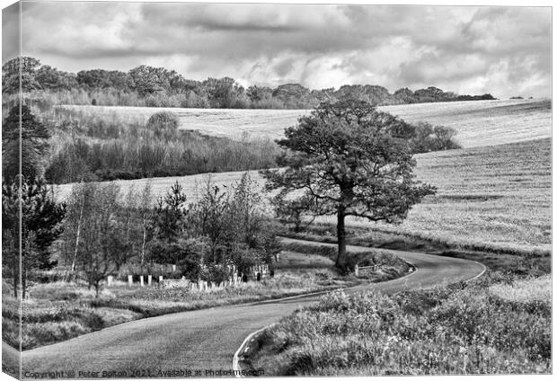 Monochrome landscape. Winding country road at The Hanningfields, Essex, UK Canvas Print by Peter Bolton