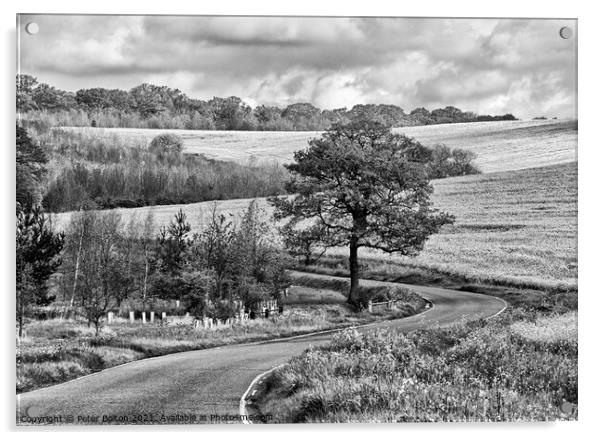 Monochrome landscape. Winding country road at The Hanningfields, Essex, UK Acrylic by Peter Bolton
