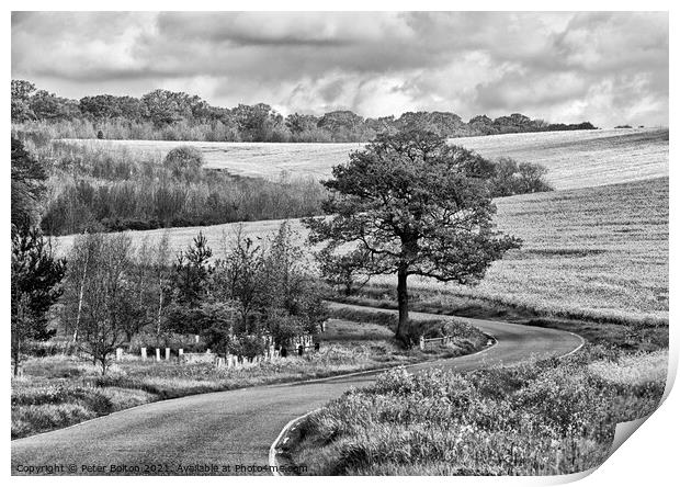 Monochrome landscape. Winding country road at The Hanningfields, Essex, UK Print by Peter Bolton