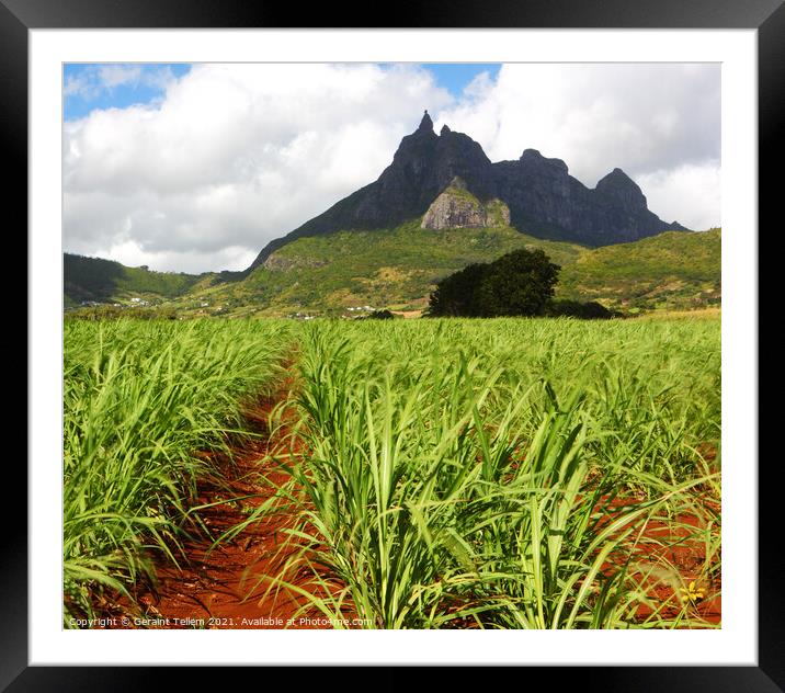 Mt. Pieter Both and sugar cane fields, Mauritius Framed Mounted Print by Geraint Tellem ARPS