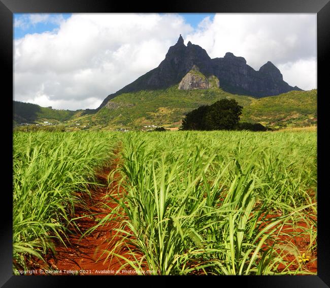 Mt. Pieter Both and sugar cane fields, Mauritius Framed Print by Geraint Tellem ARPS