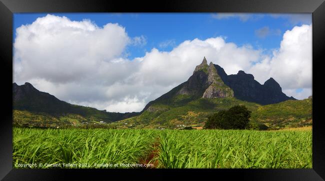 Mt. Pieter Both and sugar cane fields, Mauritius Framed Print by Geraint Tellem ARPS