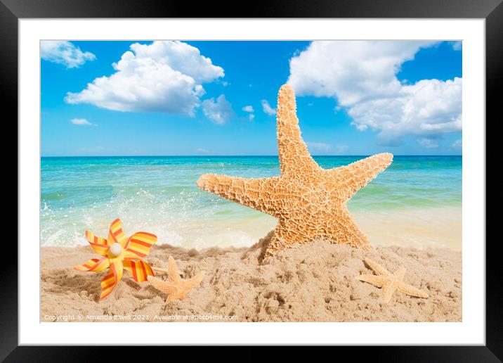 Starfish Framed Mounted Print by Amanda Elwell