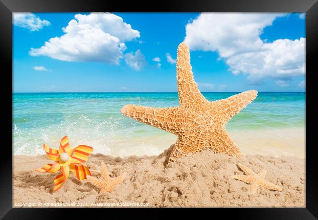 Starfish Framed Print by Amanda Elwell