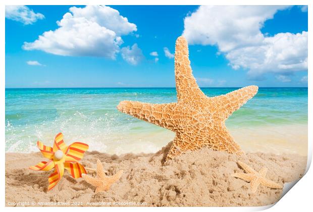 Starfish Print by Amanda Elwell