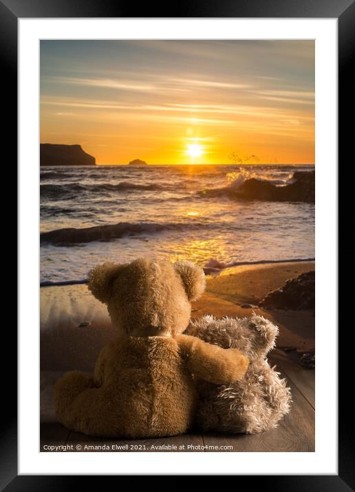 Teddies Watching The Sunset Framed Mounted Print by Amanda Elwell
