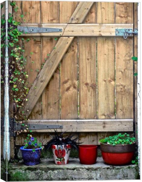 Wooden gate with plants Canvas Print by Stephanie Moore