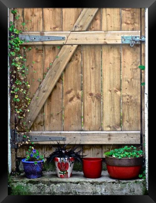 Wooden gate with plants Framed Print by Stephanie Moore