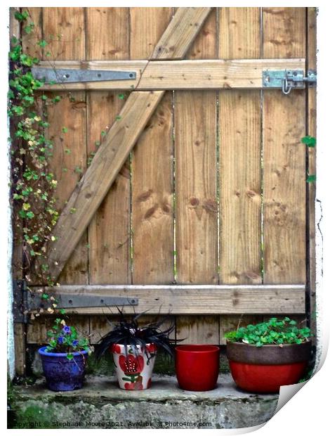 Wooden gate with plants Print by Stephanie Moore