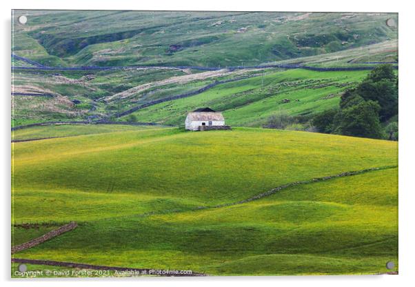 Wildflower Hay Meadow, Teesdale, County Durham, UK Acrylic by David Forster