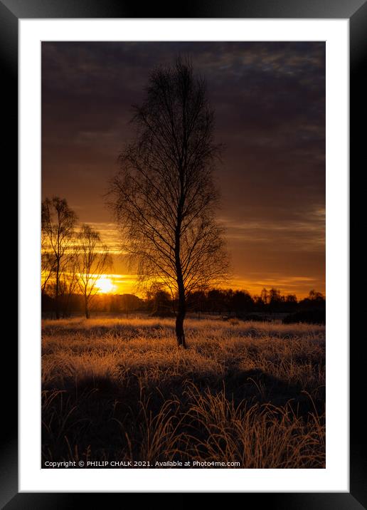 Lone dark tree at sunrise 167 Framed Mounted Print by PHILIP CHALK