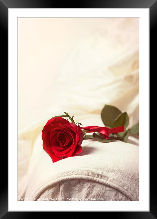 Single Red Rose Framed Mounted Print by Amanda Elwell