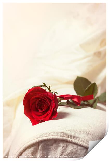 Single Red Rose Print by Amanda Elwell
